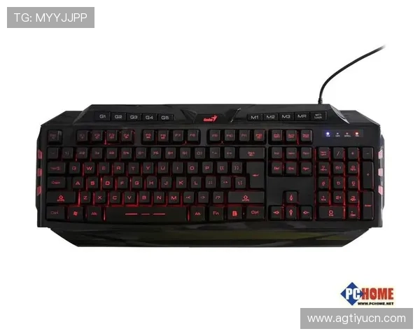 K8游戏在2023年市场表现优异，用户增长迅速背后有哪些秘密