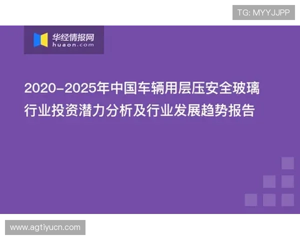 如何快速找到可靠的mg电游网站地址，确保游戏体验与资金安全的实用技巧