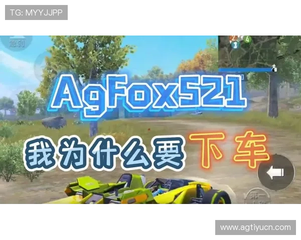 深入了解AG电子评级体系如何影响游戏体验与玩家选择指南